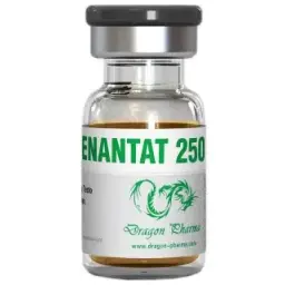 Enantat 250