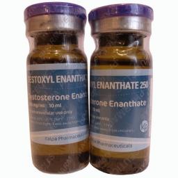 Testoxyl Enanthate 250 For Sale - Testosterone Enanthate - Kalpa Pharmaceuticals LTD, India