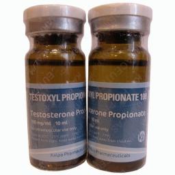 Testoxyl Propionate 100 For Sale - Testosterone Propionate - Kalpa Pharmaceuticals LTD, India